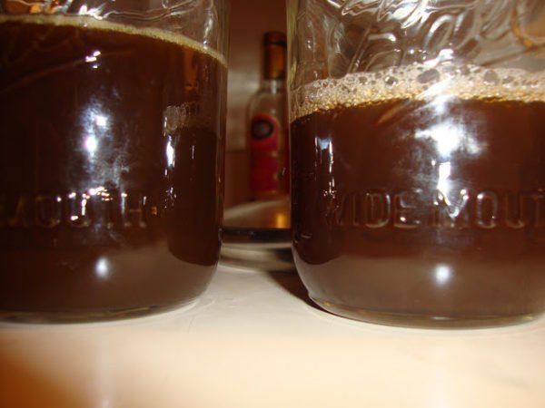 Ayahusaca - Image 4